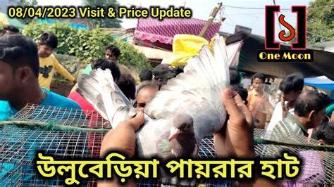 Uluberia Pet Market Recent Exotic Pigeon S Price Update At Uluberia