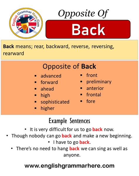 antonyms   meaning   sentences