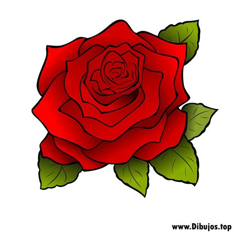 dibujo de una rosa - Buscar con Google | Dibujos de rosas, Arte rosa ...