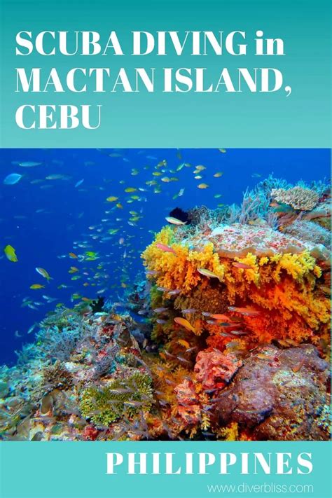 Scuba Diving Mactan And Olango Island In Cebu