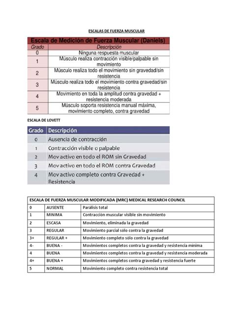 Escalas De Fuerza Muscular Pdf Músculo Esquelético Neurociencia