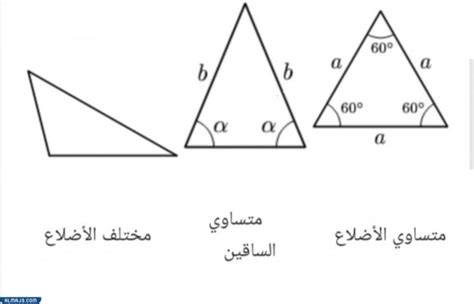 أنواع المثلثات حسب الاضلاع والزوايا موقع المرجع