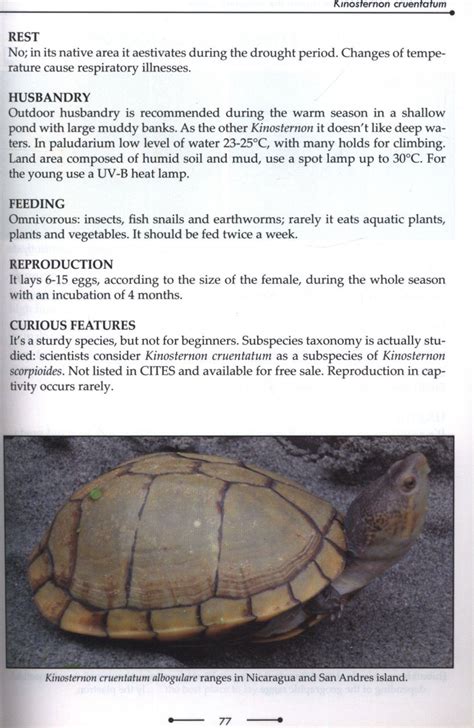 Freshwater Turtles And Terrapins The Complete Guide NHBS Academic