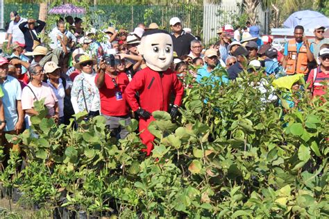 Impulsa Gobierno de Acapulco la campaña de arborización Sembrando con