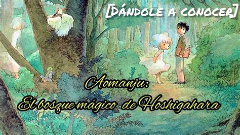 Aomanju El Bosque M Gico De Hoshigahara Youtube