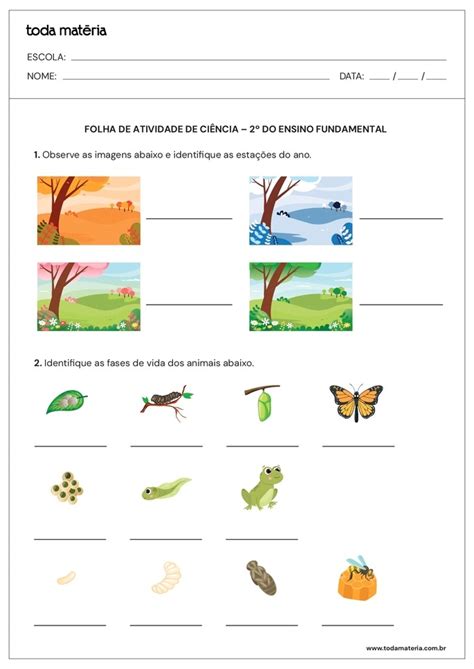 Atividades De Ciências 2 Ano Fundamental Pdf