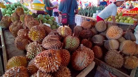 Imaging Tech Project For Durian Great Help To Farmers - The Mindanao Life