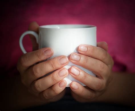 Female Hands Hold A White Cup Stock Photo Image Of Hands Front