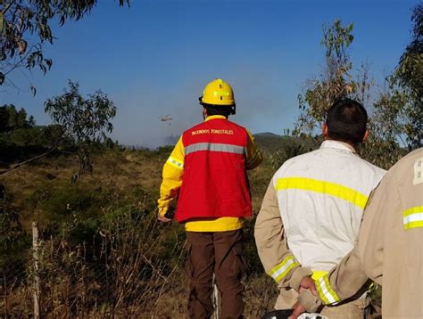 Comuna De Cartagena Se Mantiene Con Alerta Roja Por Incendio Forestal