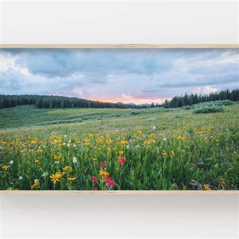 Samsung Frame Tv Art Spring Forest Photo Farmhouse Art For Etsy