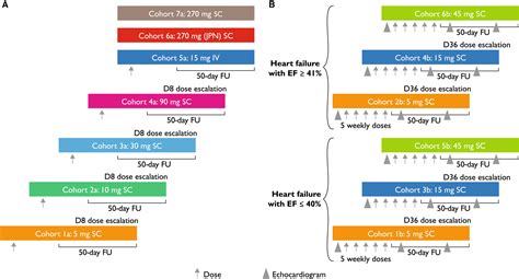 Novel Relaxin Receptor Rxfp1 Agonist Azd3427 In The Treatment Of Heart