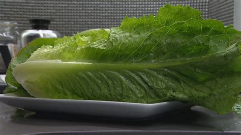 E Coli Outbreak Linked To Romaine Lettuce Appears To Be Over Public