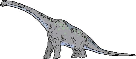 Brachiosaurus Dinosaur Facts - information about the dinosaur brachiosaurus