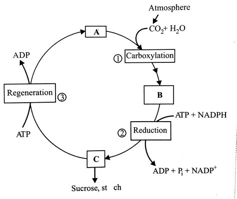 Doubt Solutions Maths Science Cbse Ncert Iit Jee Neet