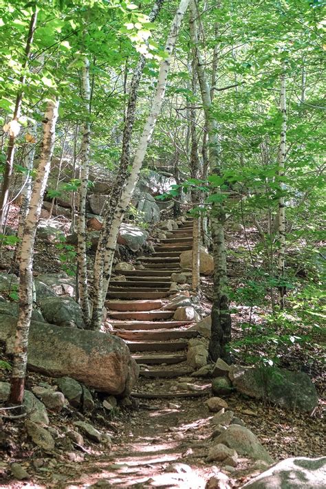 Hike The Gorham Mountain Trail In Acadia National Park