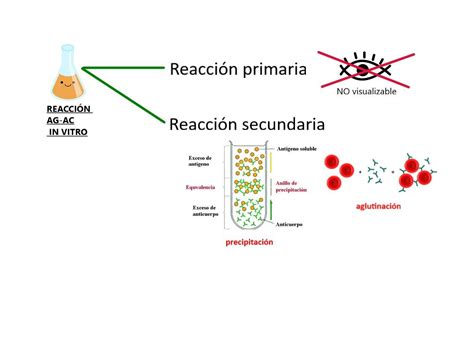 Reacci N Ag Ac In Vitro Cd Map Map Screenshot Techniques