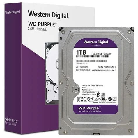 6 ТБ Внутренний жесткий диск Western Digital WD Purple WD11PURZ