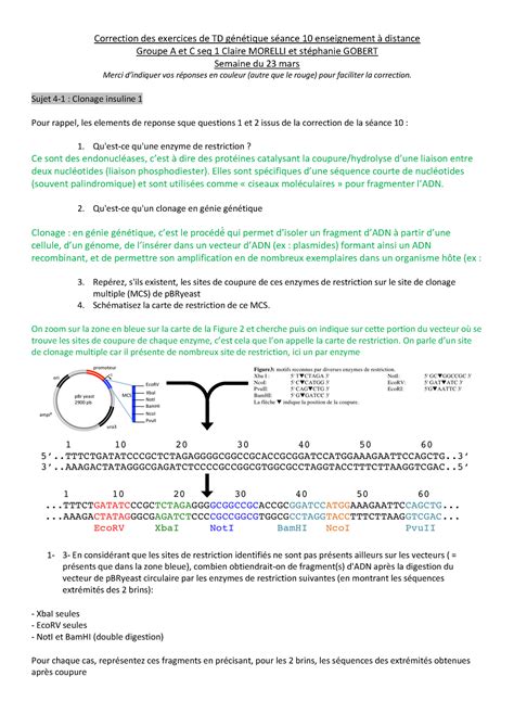 Correction genet 1 séance TD 11 Correction des exercices de TD