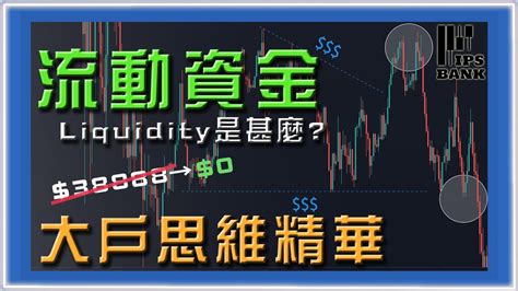 大戶思維精華｜流動性 Liquidity 是甚麼 ｜收費課程也未必教的大戶思維｜莊家操盤理論｜為甚麼90散戶虧損｜深造市場結構｜價格行為動機