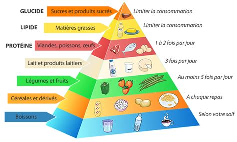 Pourquoi Manger Quilibr Nous Rend Gros Et Malades Manger Vivant