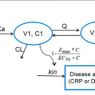 The Proposed PK PD Model Structure Parameters Are Abbreviated As