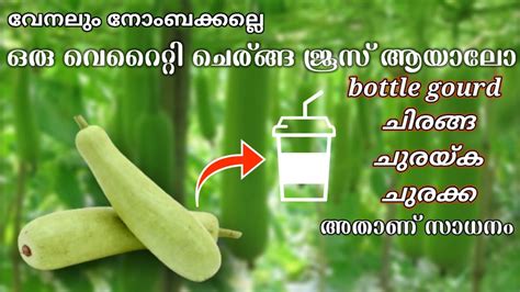 Bottle Gourd Juice Churakka Juice Malayalam