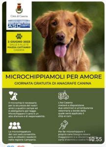 In Piazza A Caserta Per La Giornata Dell Anagrafe Canina L