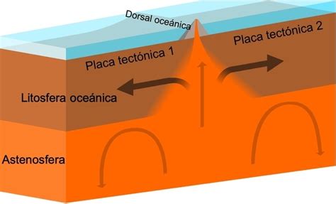 Movimiento de las placas litosféricas Mind Map