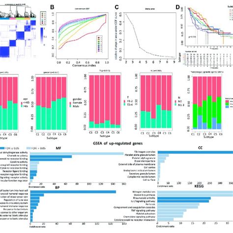 Correlation Of LUAD Subtypes Based On LDRGs With Different OS And