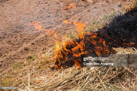 Fire Grass Photos and Premium High Res Pictures - Getty Images