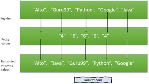 Python List Sort With Examples