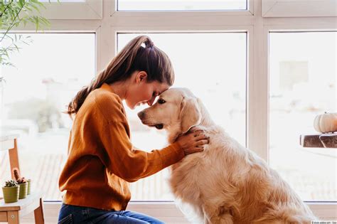 Tiergestützte Therapie Wenn Hund Pferd und Alpaka heilen helfen