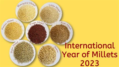 International Year Of Millets 2023 Essay On International Year Of