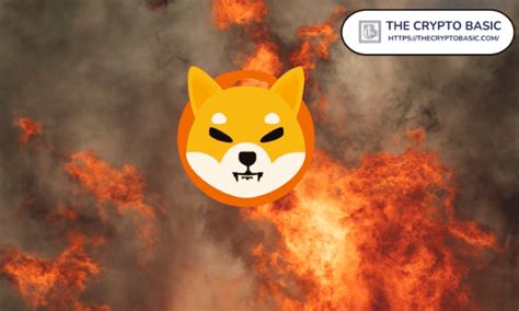 M Shiba Inu Burnt In A Day As Uniswap Related Wallet Burns M Shib