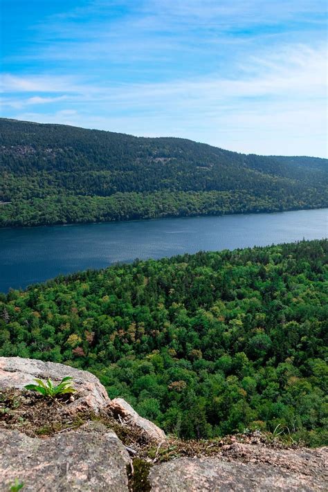 Trail Guide Jordan Cliffs Trail In Acadia National Park