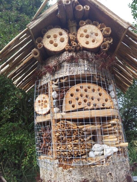 Insect Hotel Insectenhotel Insecten Hommels