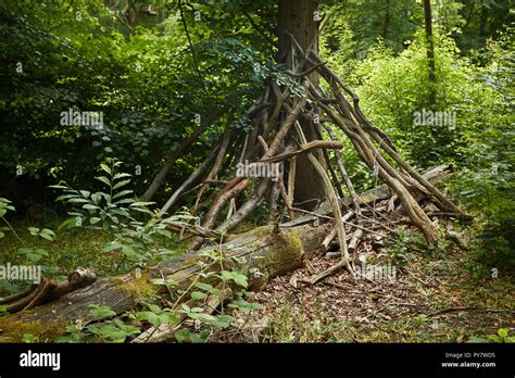 Bushcraft Den In The Woods Croydon England United Kingdom Europe