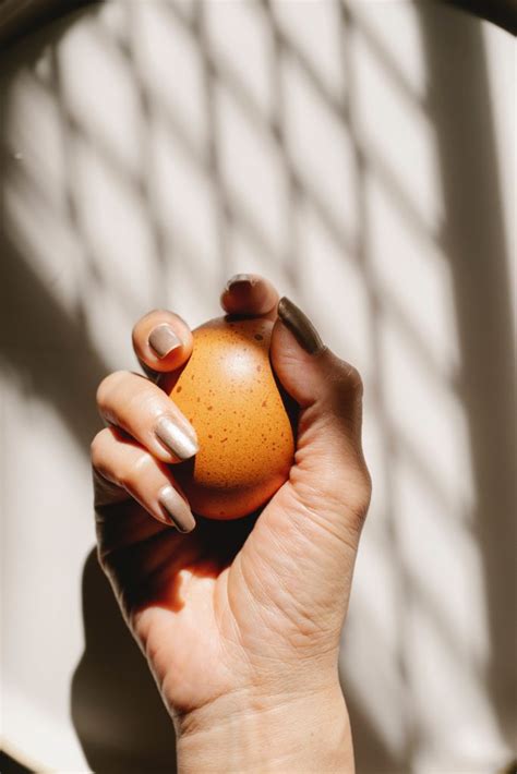 Comment La Poule Fabrique T Elle Un Oeuf Poulorama Tout Sur Les Poules