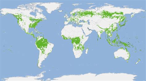 Un Mapa Ubica Las Zonas Boscosas Que Sobreviven En El Planeta Tierra