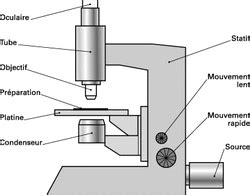 Le Microscope Optique Home