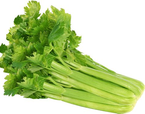 Download Celery Clipart Piece Celery Png Clipartkey