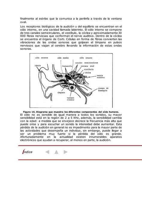 Espectro Sonoro Pdf