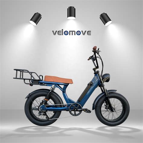 Chinese Supply Customized Color Logo 48v 500w 20ah Fat Tire Electric