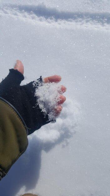 Premium Photo Cropped Hand Holding Snow