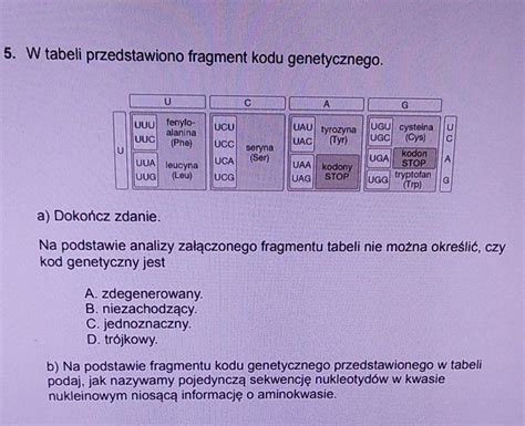 W Tabeli Przedstawiono Fragment Kodu Genetycznego Brainly Pl 2400 Hot