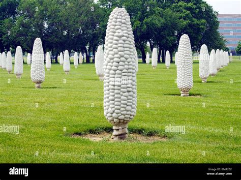 Field of Concrete Corn in Dublin Ohio Stock Photo - Alamy