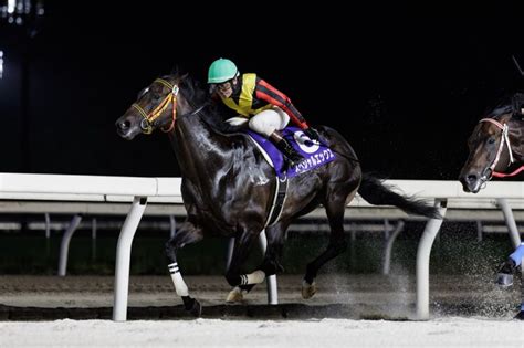 【ホッカイドウ競馬】門別競馬重賞最強攻略