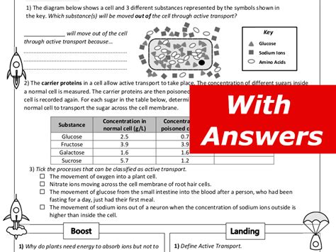 Active Transport Home Learning Worksheet Gcse Teaching Resources