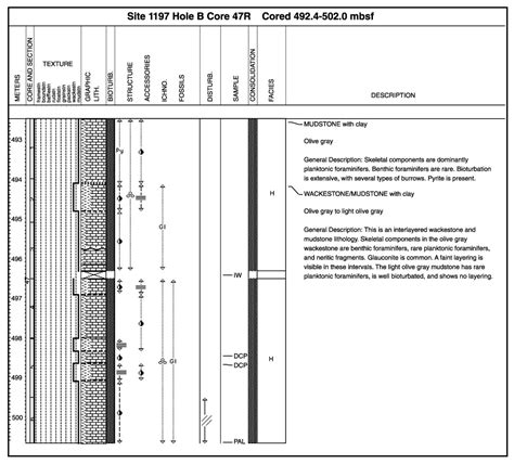 Figure F6 A Completed Core Description Form As Used During Leg 194