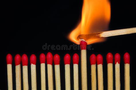 1338 Burning Match Close Up Stock Photos Free And Royalty Free Stock